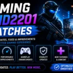 Gaming Vivid2201 Patches