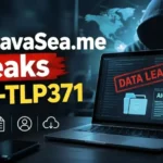 TheJavaSea.me Leaks AIO-TLP371